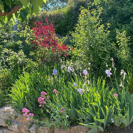 Le Jardin De Lau Vila Aubignan Exterior foto