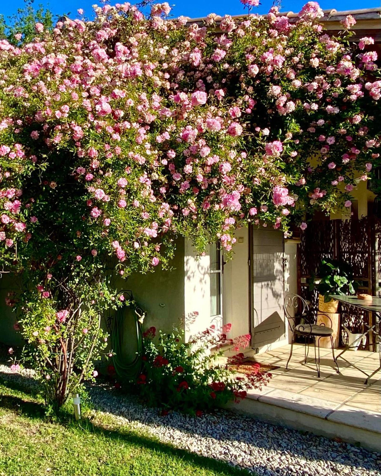 Le Jardin De Lau Vila Aubignan Exterior foto
