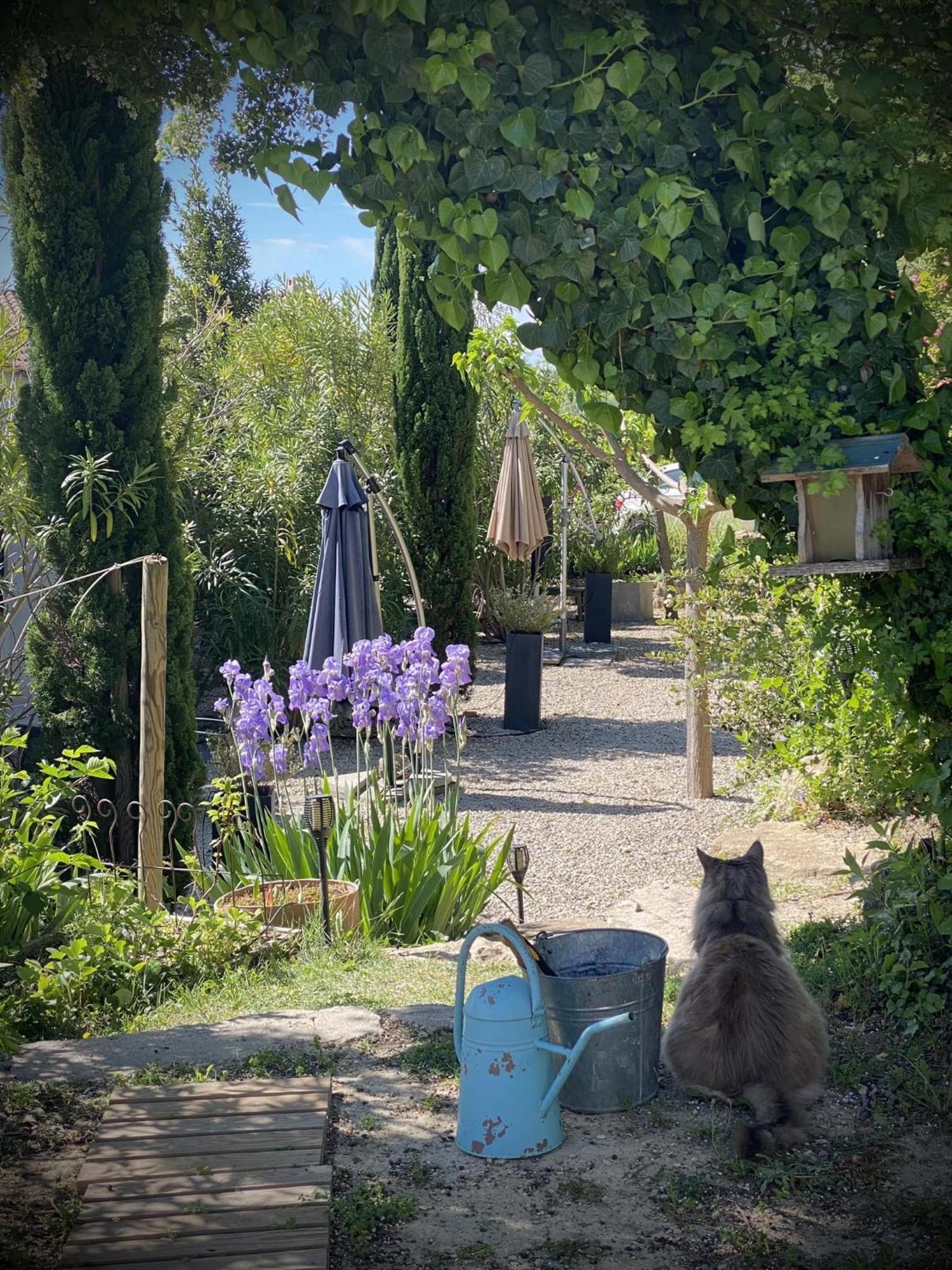 Le Jardin De Lau Vila Aubignan Exterior foto